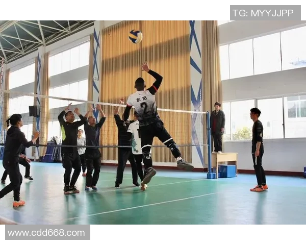 赵芳独家分享排球心得与技巧助你提升球技的秘密宝典