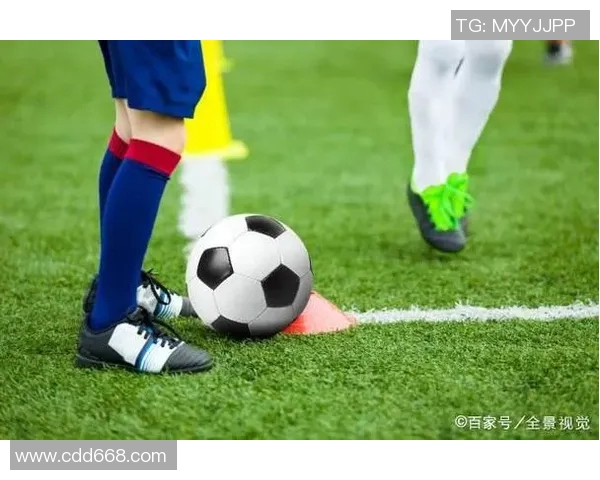 上海足球队区域防守革新探索与实践分析全景解读