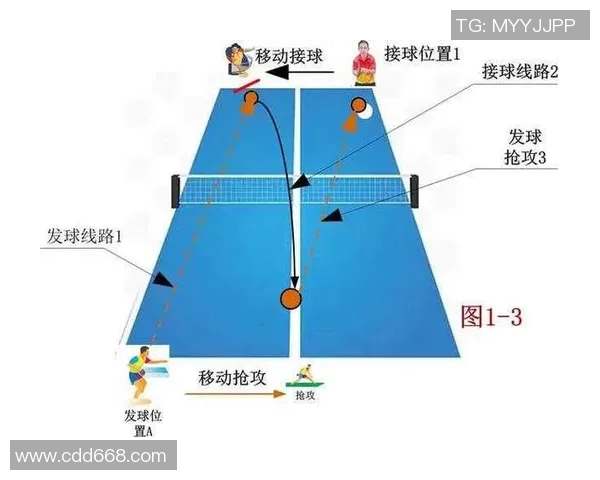 乒乓球的魅力揭秘：深入分析成都乒乓球队的战术与训练秘诀