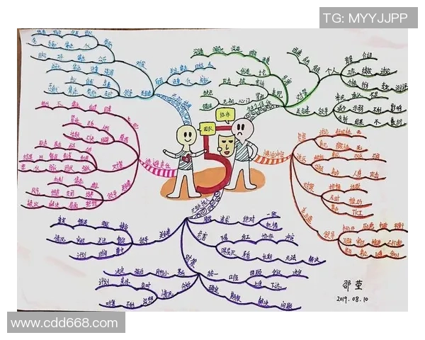 成都排球队团队协作表现的深入数据分析与研究探讨 成都排球队团队协作表现的深入数据分析与研究探讨