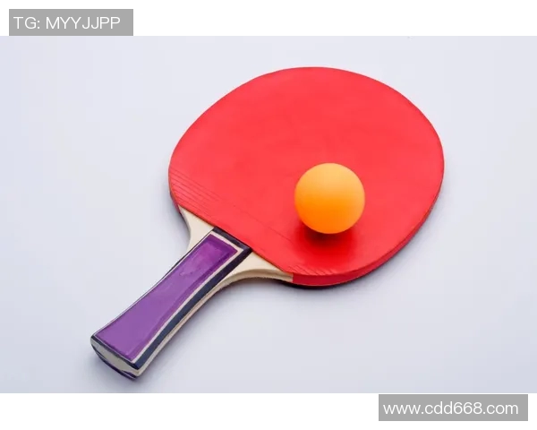 从零基础到高手之路：全面解析乒乓球战术与技巧宝典