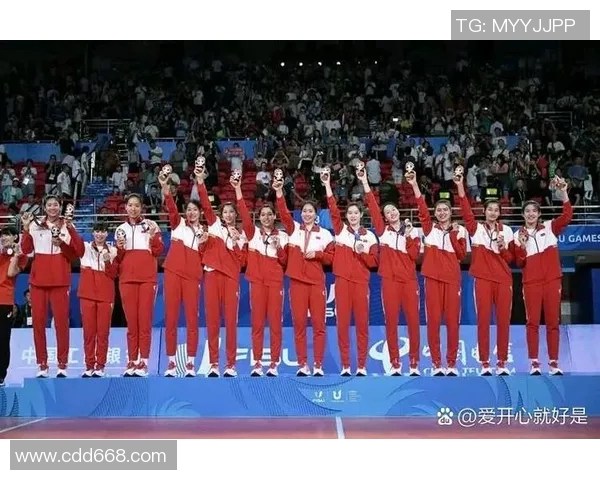 深圳排球队技术革新引发热议助力球队崛起与发展