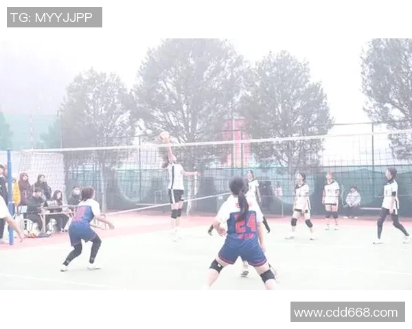 武汉排球队团队协作变革引发热议展现新风貌与竞技精神 武汉排球队团队协作变革引发热议展现新风貌与竞技精神