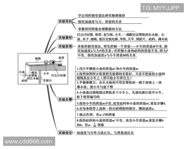 重庆排球队的速度分析与战术应用探讨
