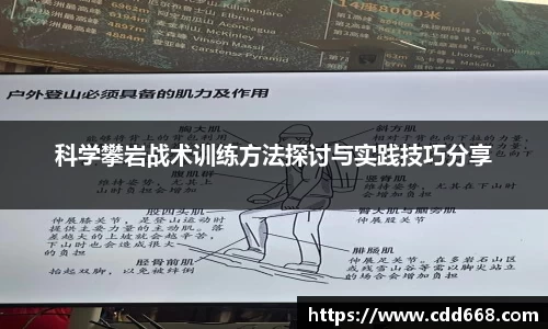 科学攀岩战术训练方法探讨与实践技巧分享