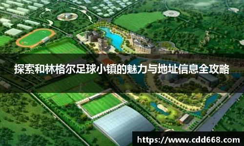 DB电竞华语电竞引领者